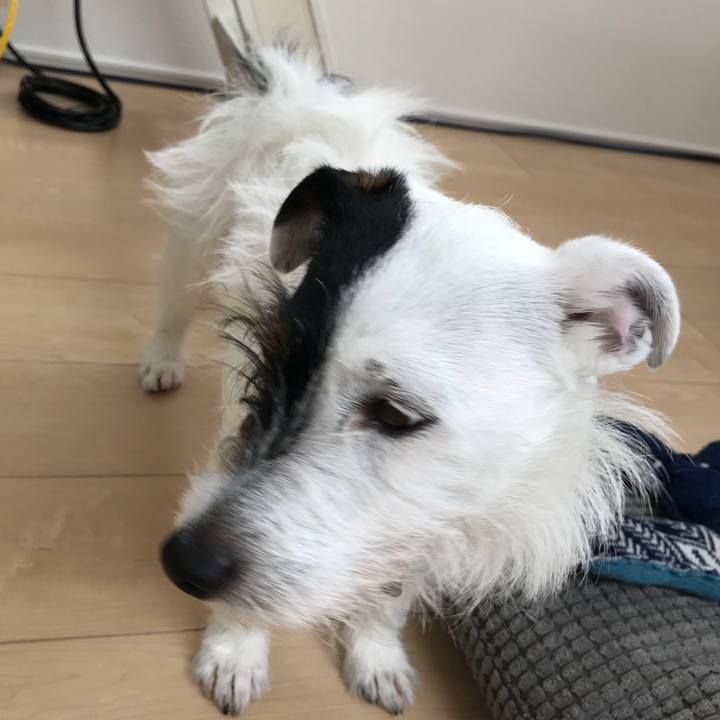 Acb6d5a1 8412 43ae 8e9d 620e8b849433 1524795942266