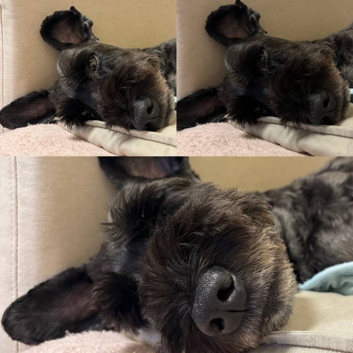 Acb6dc06 0cc0 4cab 8400 de010040897c 1758337106280