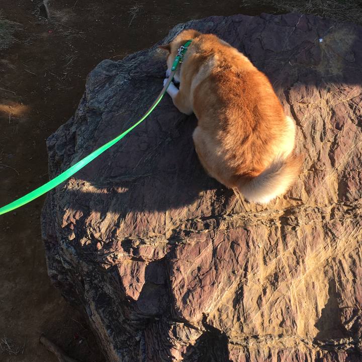 Acb71879 e629 4048 b57f b8cf282d3f30 1604189402809