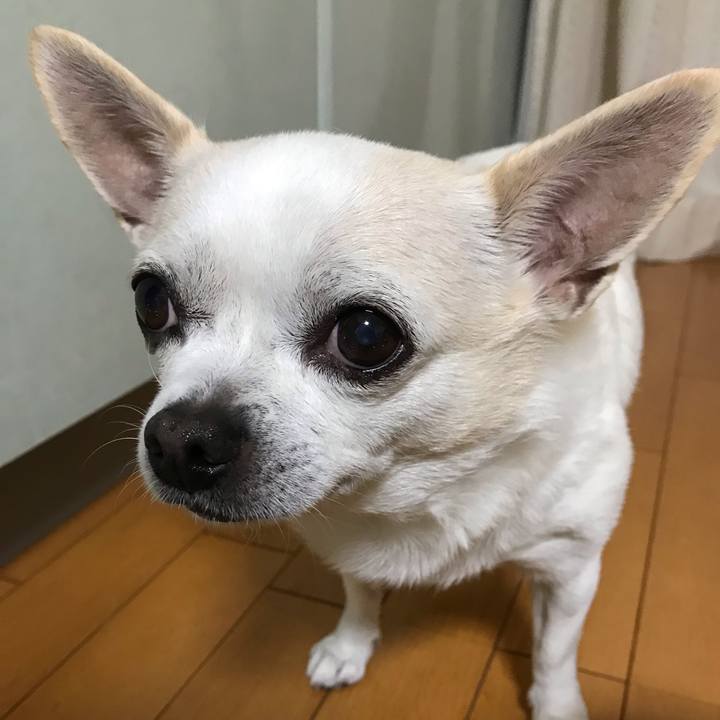 Acb72cb8 a642 4628 a14d 5d8569ba41dd 1548249143221