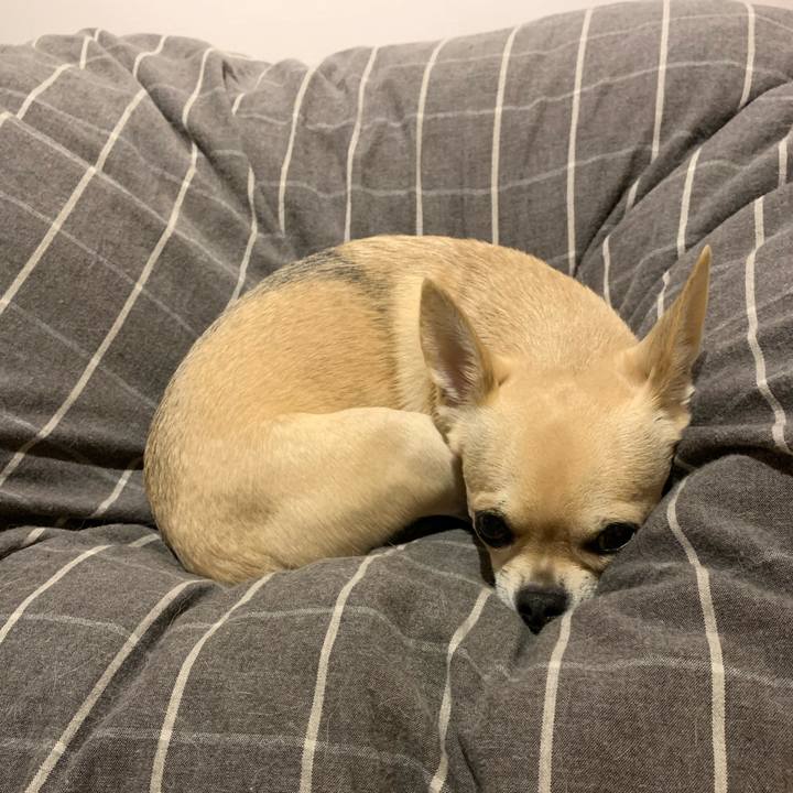 Acb756ea 8eb2 4742 ba1c 948aaab8dd5c 1572867273762