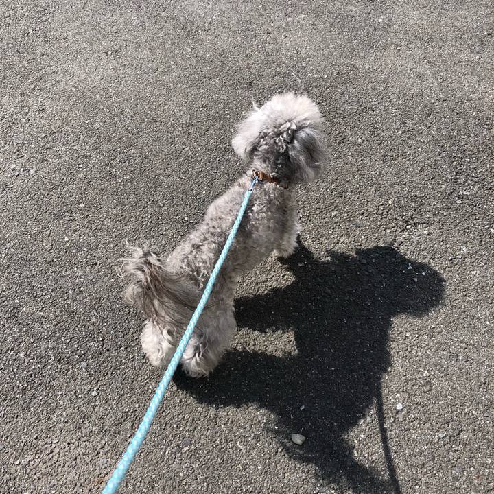 Acb77b55 fbc5 4467 b8b9 6decf3a784c7 1521878556158