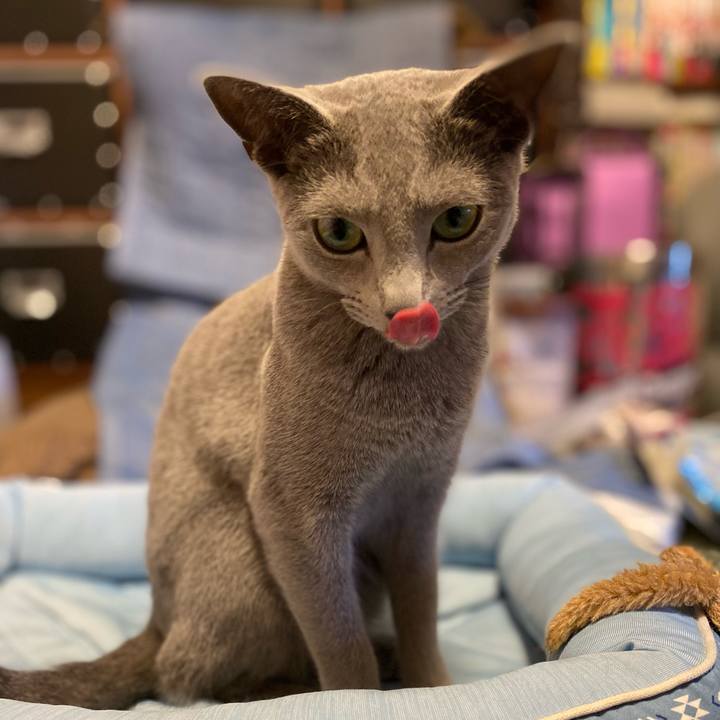 Acb7cc01 84c7 4db7 a935 4f8b92e0ca27 1623241796264