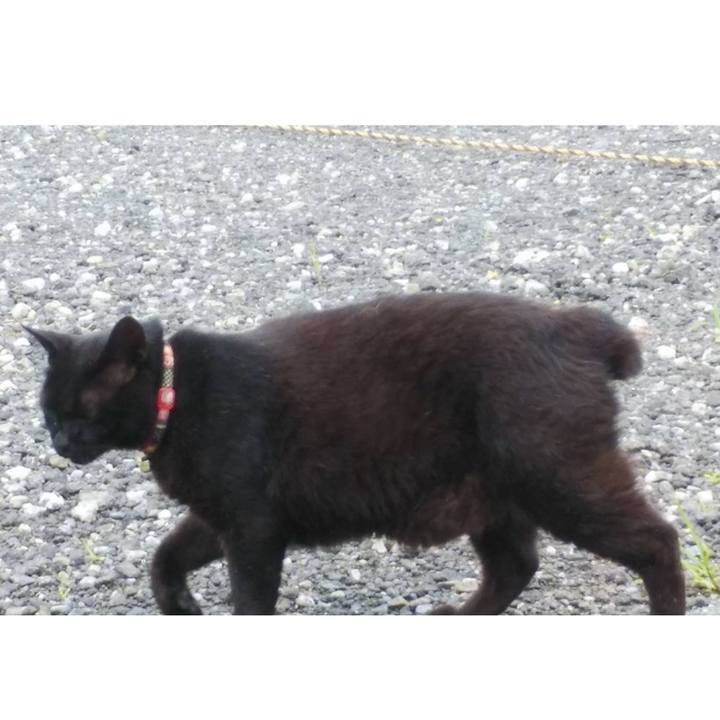 Acb7e38d cf14 4105 af03 e79454473231 1593733644391