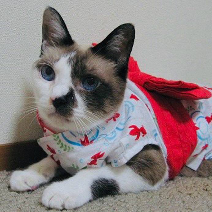 Acb85885 a402 4dfb b209 bb70804b92c8 1728543660395