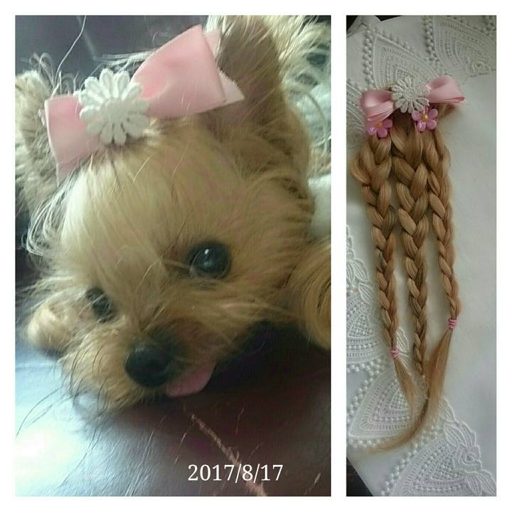 Acb86ad3 d3e3 467f bf1d d70bdc4da61f 1534315781653