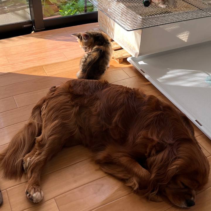 Acb89bd3 3a93 4789 a5a0 aa6edc723887 1651708898744