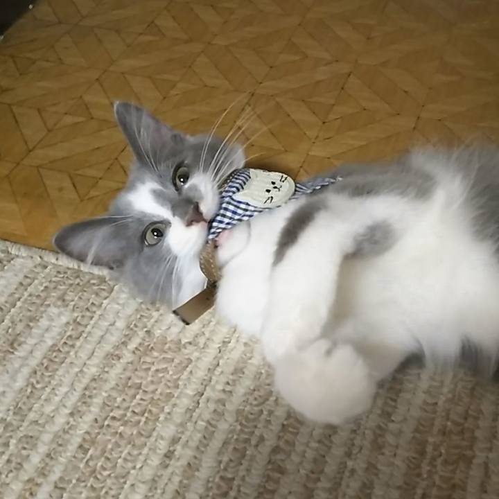 Acb8b701 7464 43ae 832d d682b4ff9b00 1564914699370