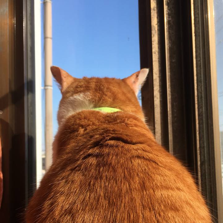 Acb8bce6 71f8 42db b55c 0c75774ad3b2 1555969664469