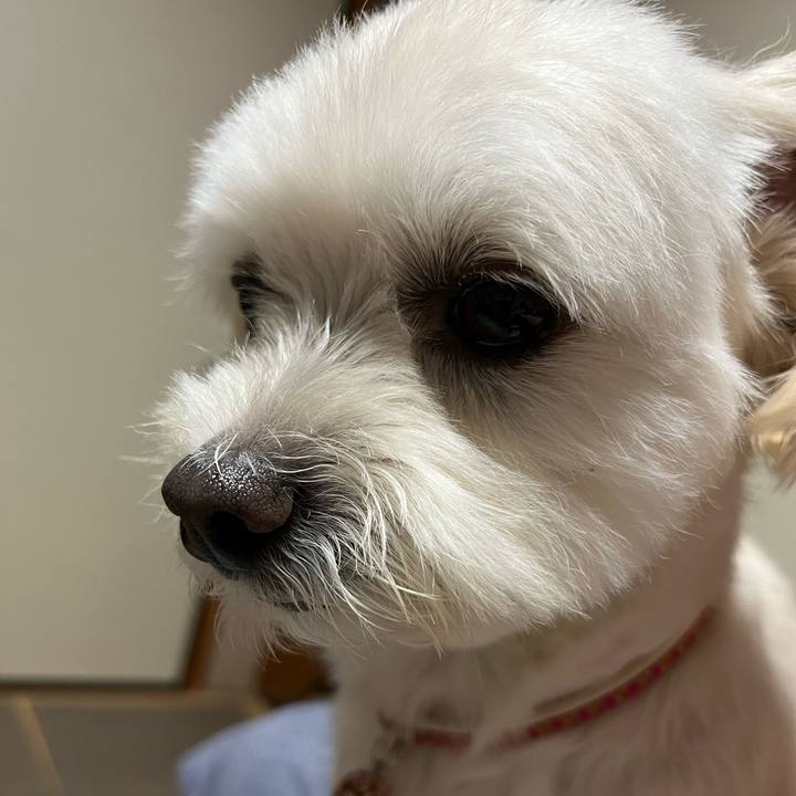 Acb8beb4 6b8b 4cea 8728 18ef2accff49 1656816614605