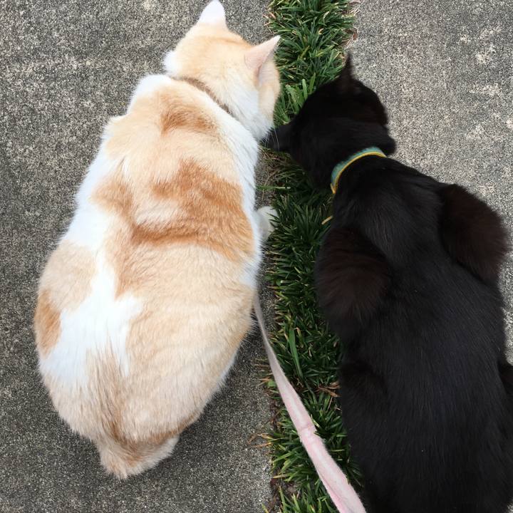 Acb90304 efd7 42fc 80c6 36e5f0acbd7e 1529672133294