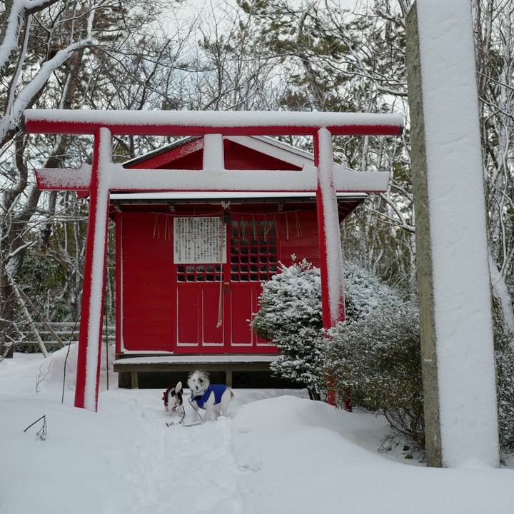 Acb9099e 5e3c 406f 822e 9e726c98b54d 1518411178515