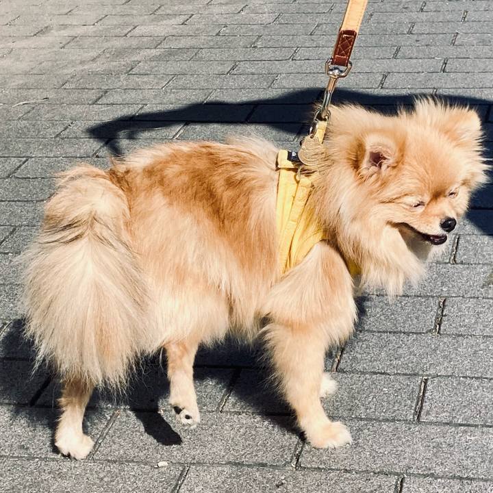 Acb936da a0c8 469e aab7 07cb38869ce8 1667747118849