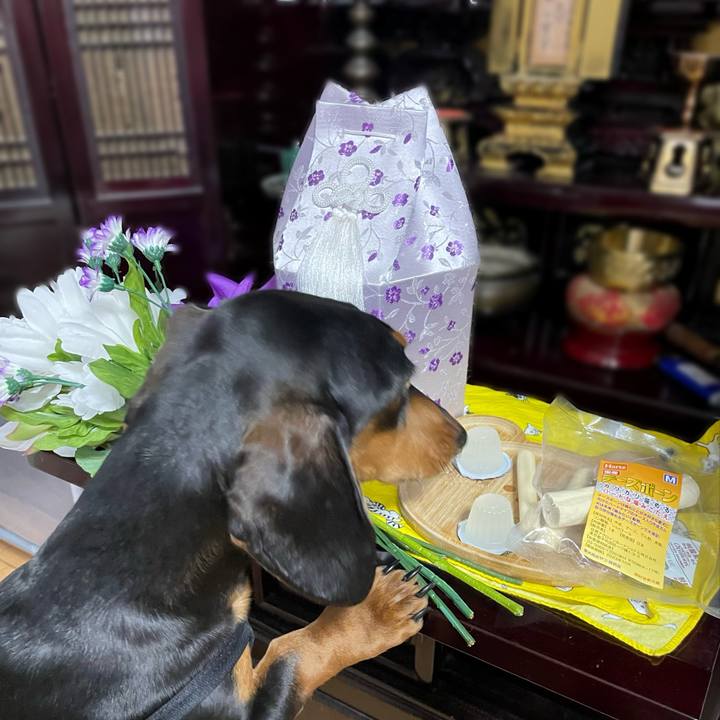 Acb937e2 ba93 4626 a656 1ec3a7990b80 1654072142822