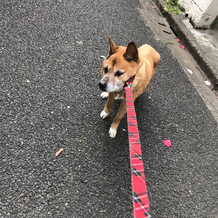 Acb93a38 eb00 4575 bc4d 7dc2e2b65eb1 1522362069366