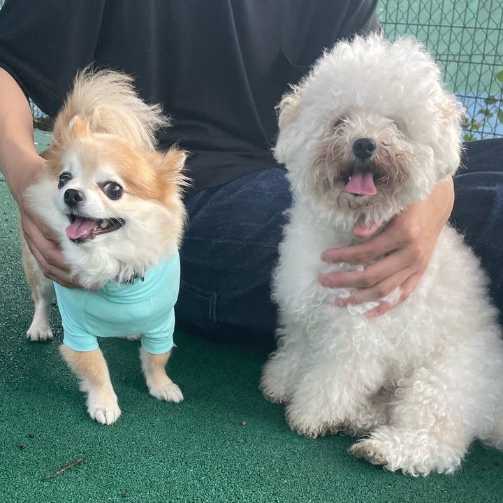 Acb9465d 7144 4783 83c2 07f138d47a6b 1754181442999