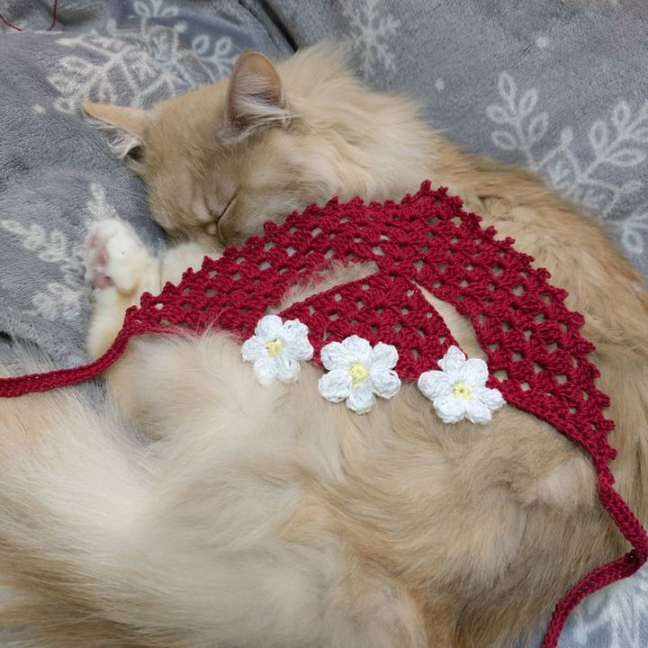 Acb959f0 e59b 489a 819f 13aed7ea0da1 1772031382525