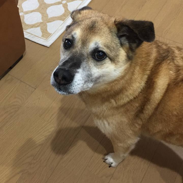 Acb9737f 676c 4afa 98f7 3e3b06ba1ac9 1587185983609