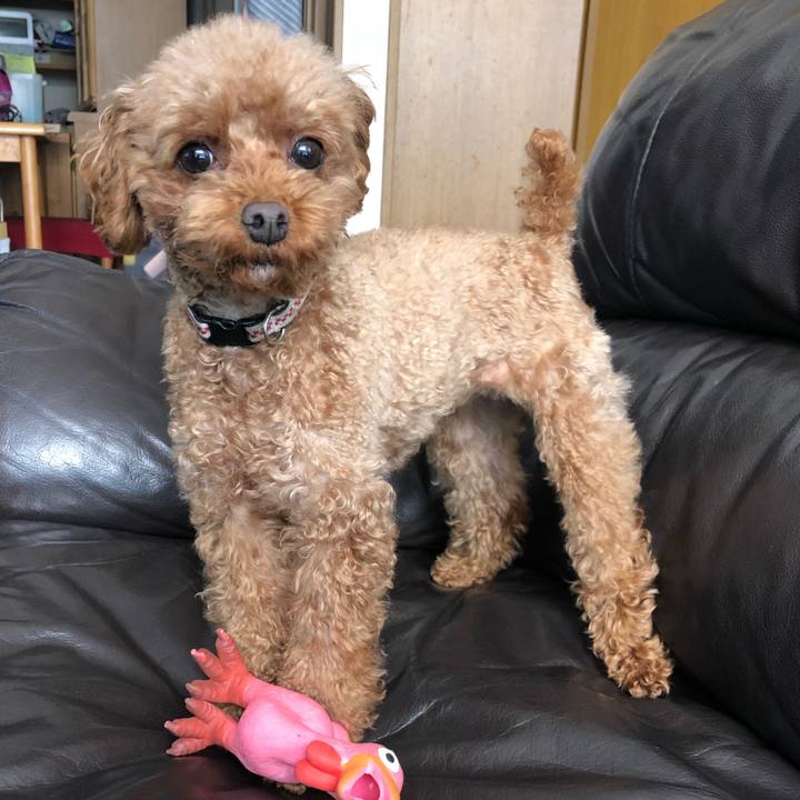 Acb97fc9 8d08 46cb aacd 5924e55682b4 1548549503187