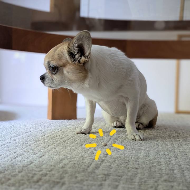 Acb9abc2 59ca 446c 9297 1c9ca9801ad8 1750835183462