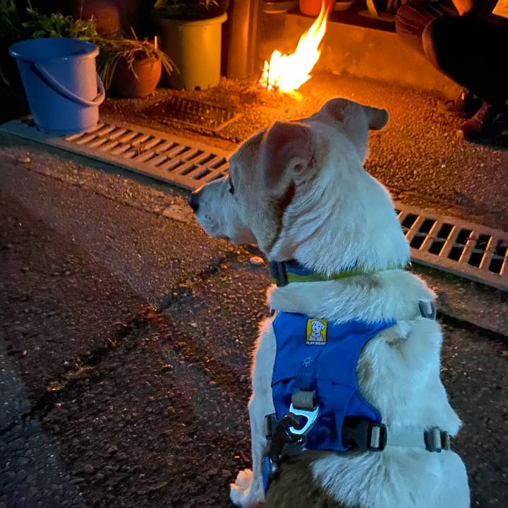 Acb9baaa a63f 4fff bab7 d8262ac0a320 1691926995414