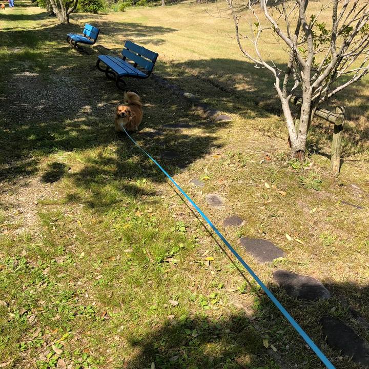 Acb9d345 fbc7 4bac a6b0 f35191e4ffe6 1558661199196