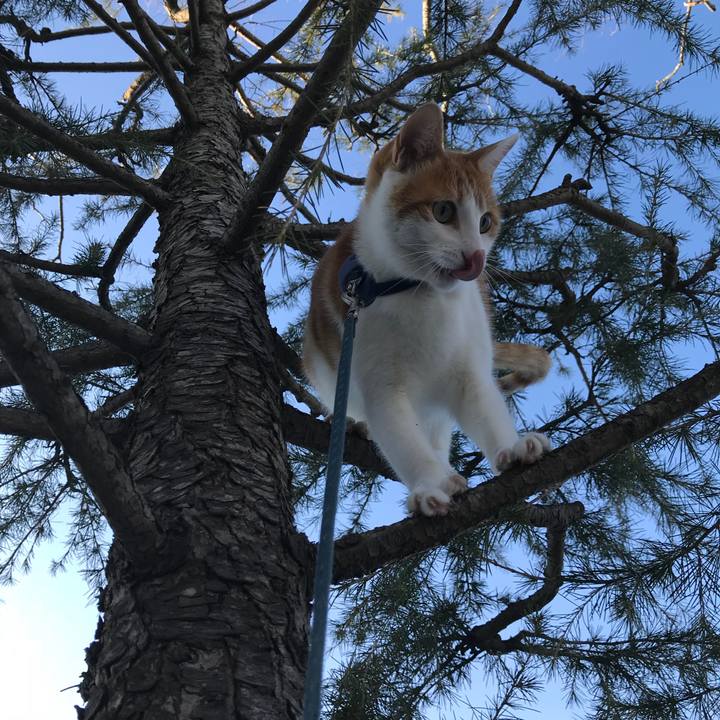 Acb9ed4e 6157 40ef b3f4 b03b285e0d8c 1517641865792