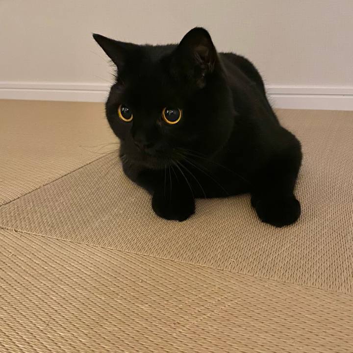 Acba4257 f7e8 4432 9b15 6a8fb918a41c 1654596651217