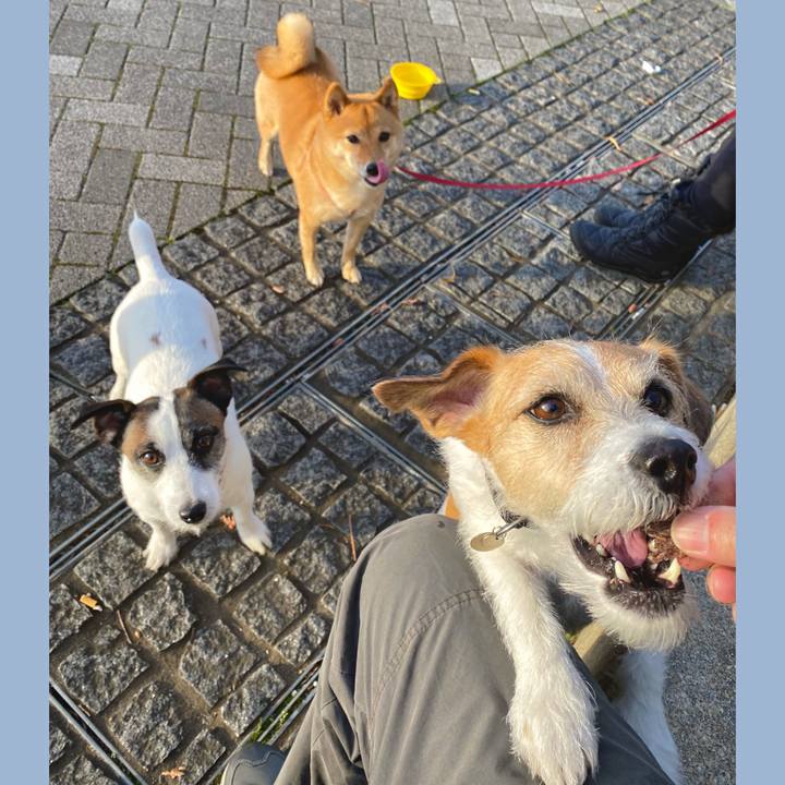 Acba60ca 02a4 4b29 89a0 321e86e0dc52 1672154886644