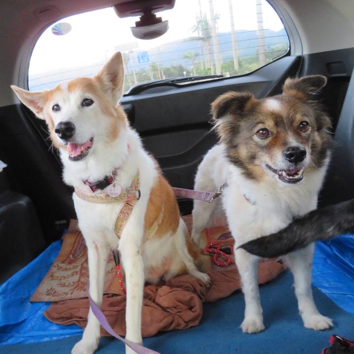 Acbaa517 bd51 498c a3b9 27a4084b6288 1550195902941