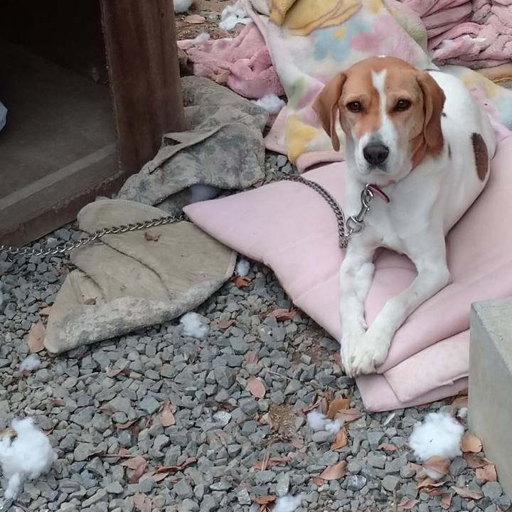 Acbaa564 d6ea 406e 8736 ec48b328f25d 1576914142587