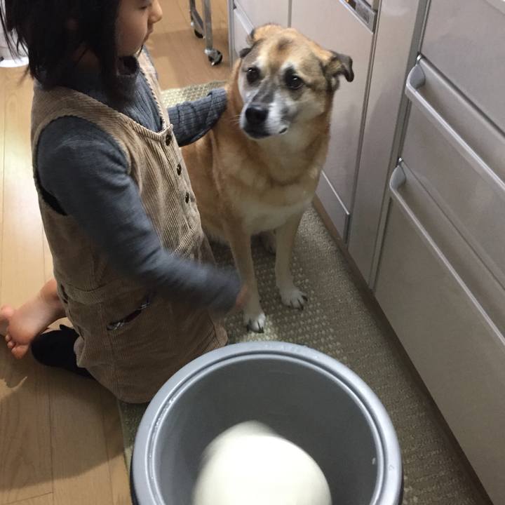 Acbaa587 3f61 4091 ad8c 71bc21acc6c4 1577680577903