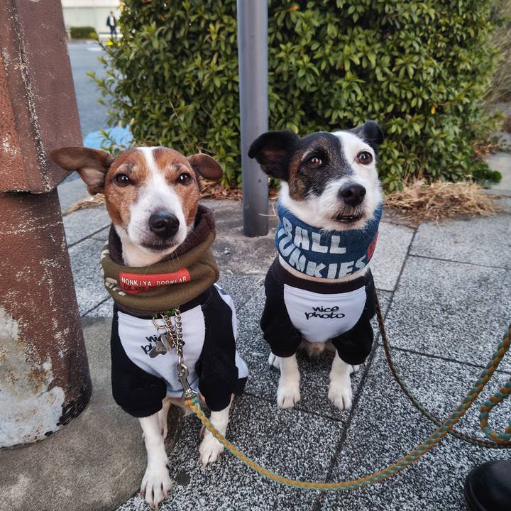 Acbabbb6 1156 45cc b60e 575163a660cd 1739742318551