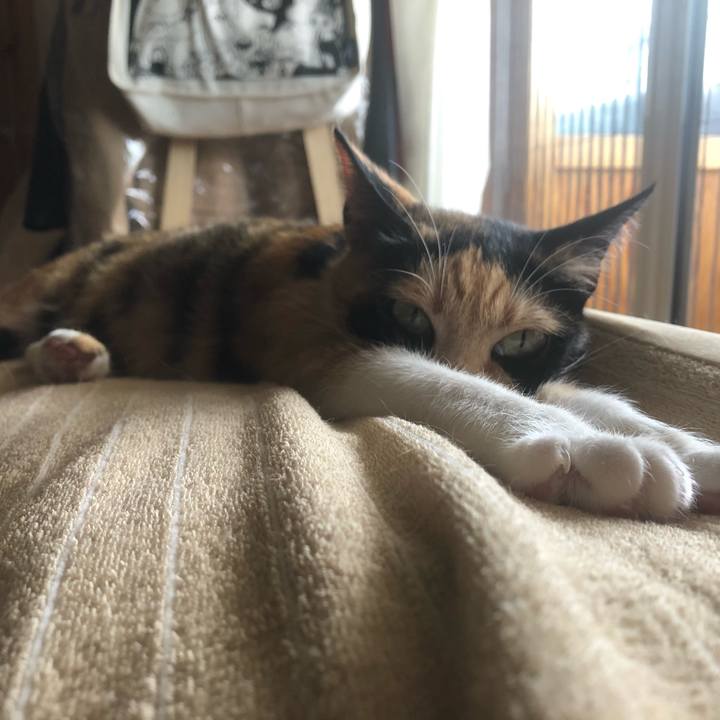 Acbb04b6 ce8d 4d0f b232 3806dd01ab81 1591764302218