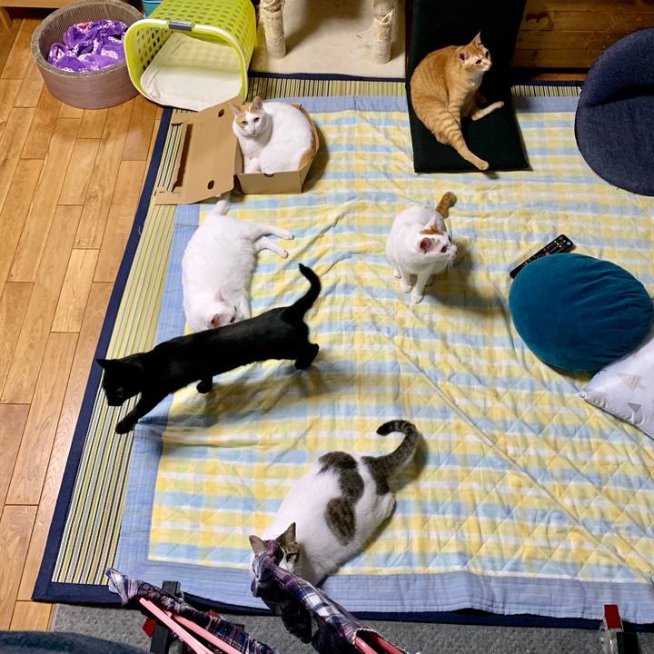 Acbb135e a0a8 4828 aa8d 7db92a281609 1558969430648