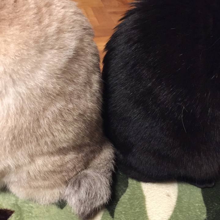 Acbb201b bc21 44e8 9d58 98347c262714 1582630175867