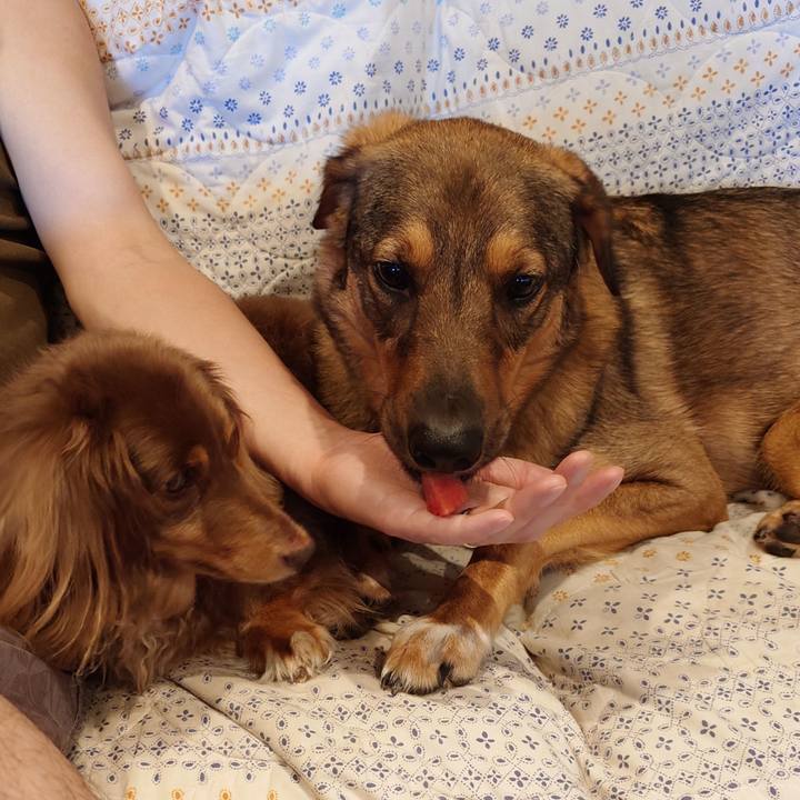 Acbb6607 e842 4868 9582 2aed54fab665 1753082848648