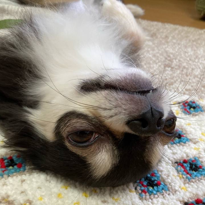 Acbb7486 f1f1 4d49 9b37 02c57872b9e4 1685289665829