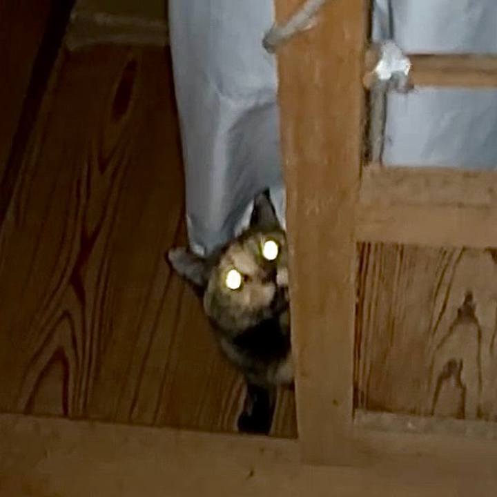 Acbba683 eb95 4547 81e3 c454dcbc8483 1766781536929