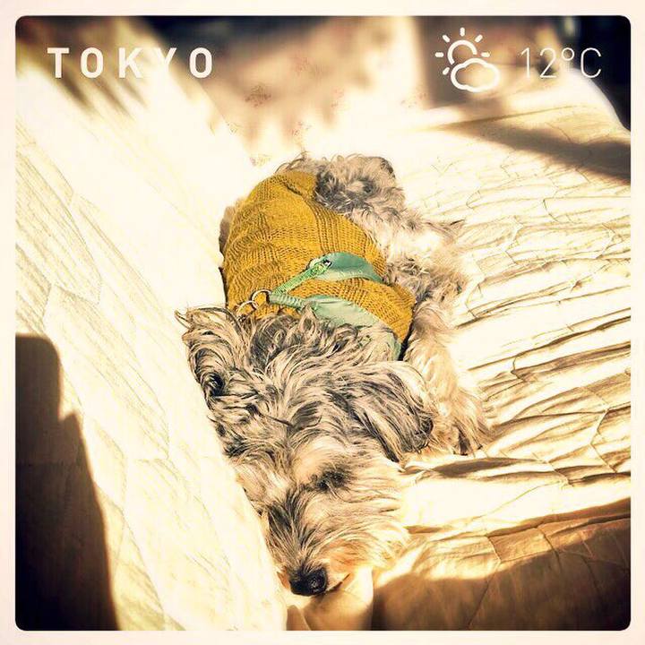 Acbbd716 923b 4e88 8715 b63208add912 1513212494162