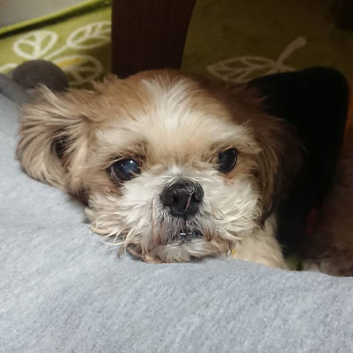 Acbbf6d7 9175 4279 8eb8 6a56c21ee811 1639634550540