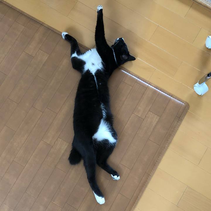 Acbc91e7 6099 4c1d 82b0 dcd1870aba10 1530497396875