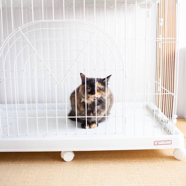 Acbc9cce 21fc 4a99 92eb bf42edcbff56 1573182813895