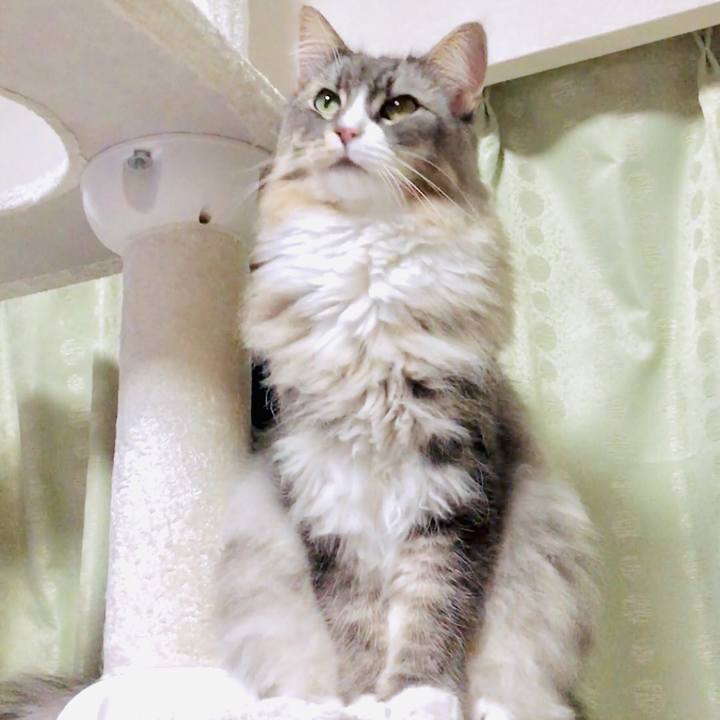 Acbc9d48 58aa 49ea 8a32 068315b6c6b4 1573581705381