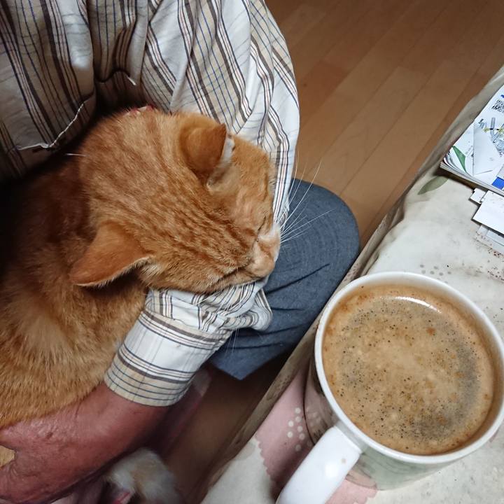 Acbcc742 2466 4fbc a2d3 eafc6788c07e 1601235833375