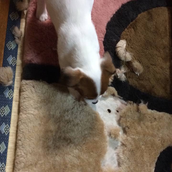 Acbce984 4d52 4d5b 8280 c7f5dd31511c 1510757535586