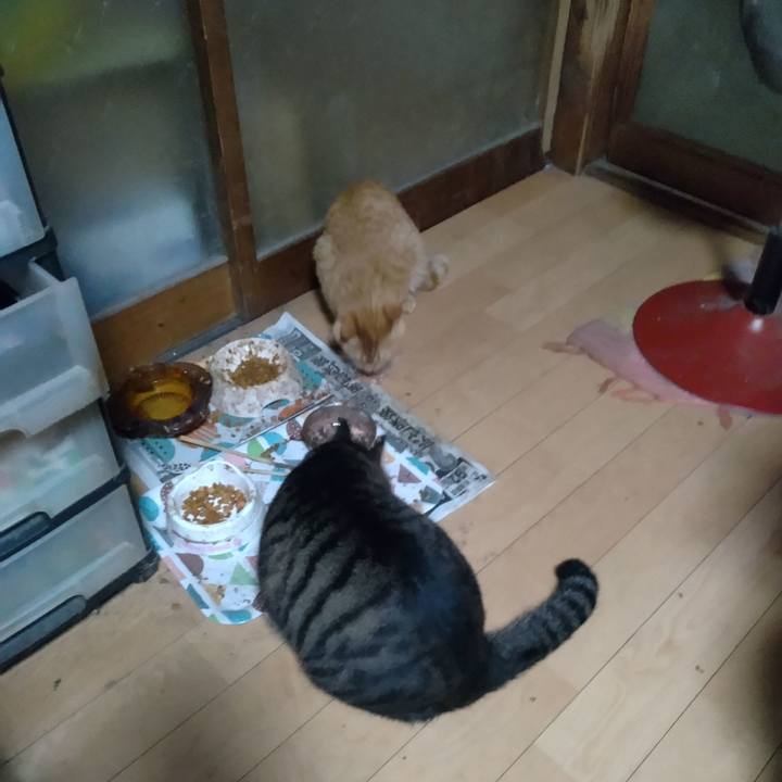 Acbcebf8 31fd 409c a265 4ca07b1821b3 1667771254207