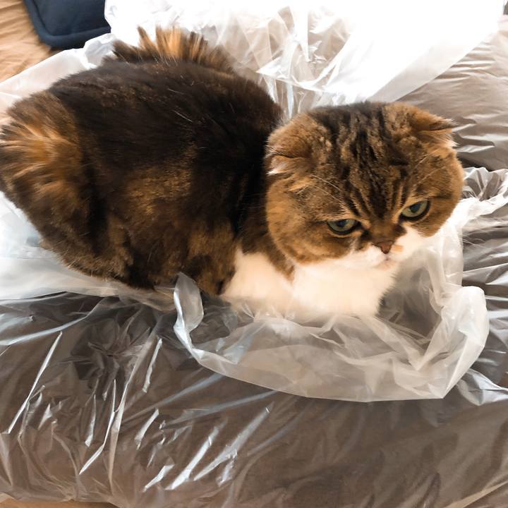 Acbd3284 3afc 4692 9589 588af4850617 1557479084899