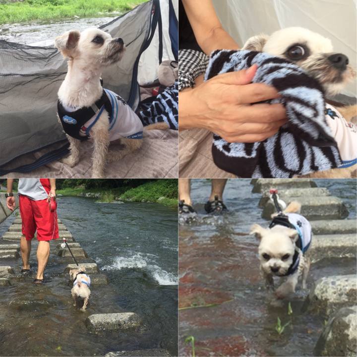 Acbd6a5f 582a 4a11 bd2b 9854b1b13b46 1534077729087