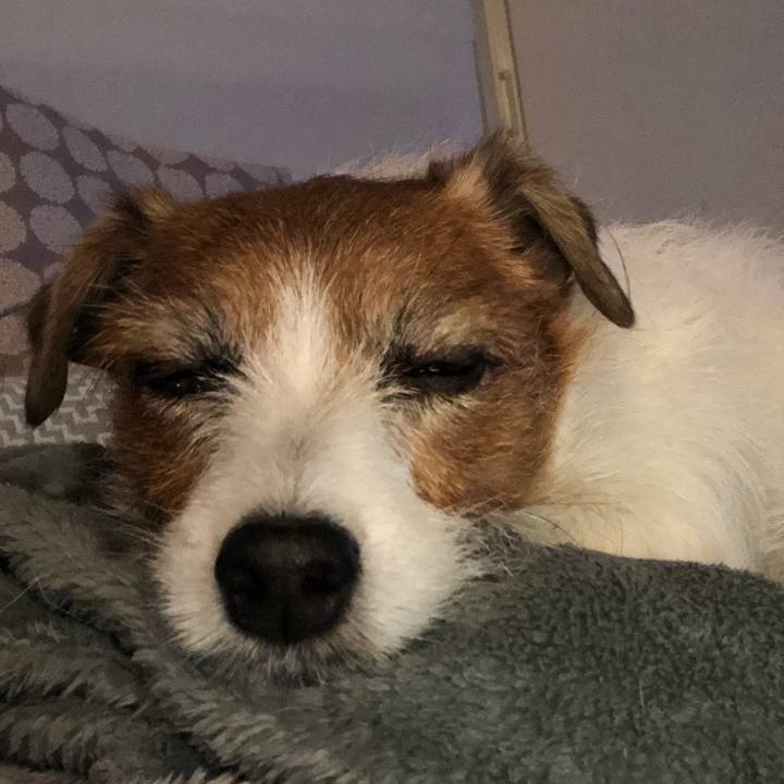 Acbdd28a e112 440e 80ae ba1fb01a22bc 1610103400114